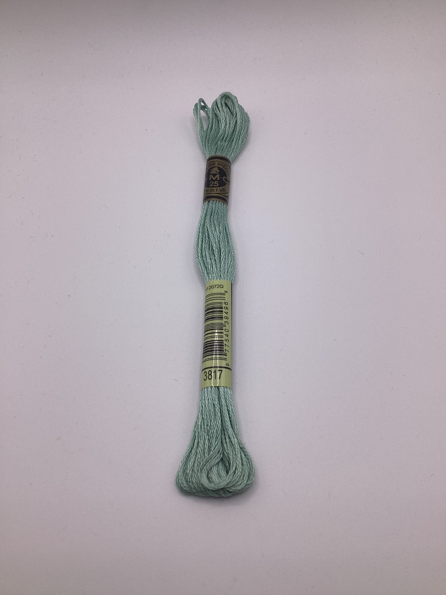 DMC Mouliné Spécial - 3817