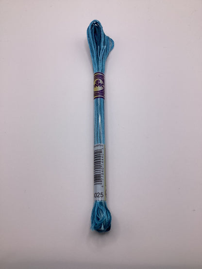 DMC Mouliné Color Variations