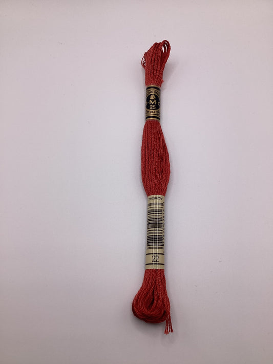 DMC Mouliné Spécial - 22