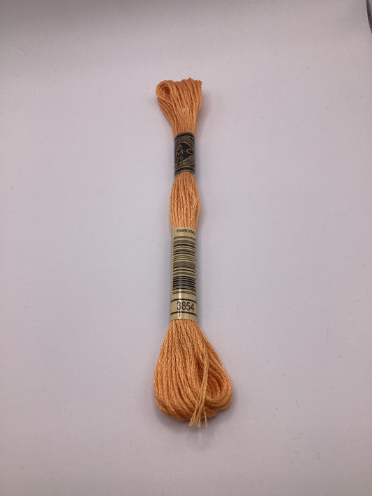 DMC Mouliné Spécial - 3854