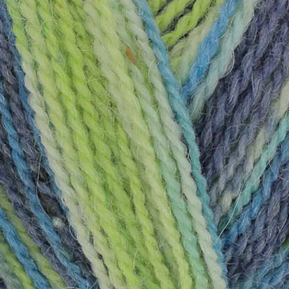 King Cole Homespun Prism DK